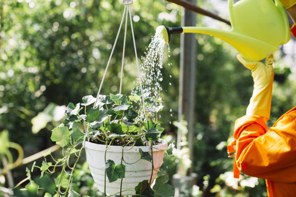 gartenservice-cloppenburg-unkraut-giessen-1-scaled-1-1536x1024